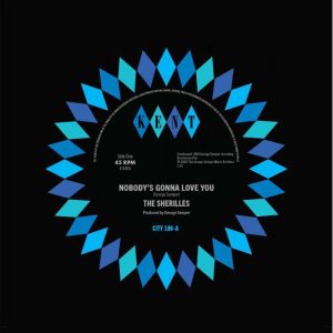 The Sherilles - Nobody's Gonna Love / Make It On My way ( 45's )