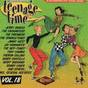 V.A. - Teenage Time Vol 18 ( CD )