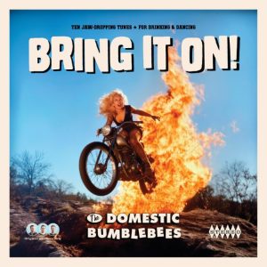 Domestic Bumblebees, The - Bring It On!