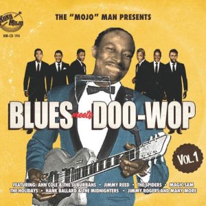 V.A. - Blues Meets Doowop Vol 1 The Mojo Man Presents ( CD )
