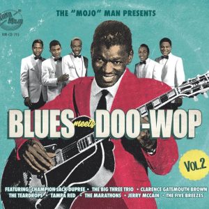 V.A. - Blues Meet Doowop Vol 2 The Mojo Man Presents ( CD )