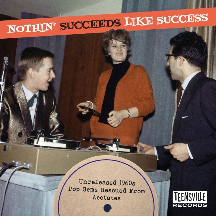 V.A. - Nothin' Succeeds Like Success: Unreleased 1960's Pop Gems From Acetates ( CD )