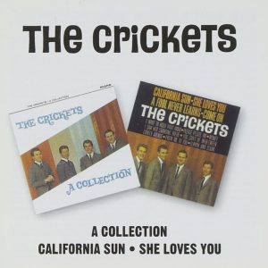 Crickets, The - A Collection / California Sun-She Loves You