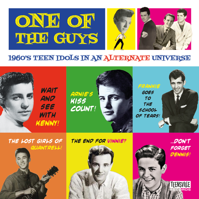V.A. - One Of The Guys : 1960's Teen Idols In An Alternate Universe