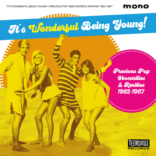 V.A. - It's Wonderful Being Young! Precious : Pop Obscurities & Rarities 1962-1967 ( CD )