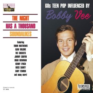 V.A. - The Night Has A Thousend Soundlikes: 60's Teen Pop Influenced By  Bobby Vee ( CD )