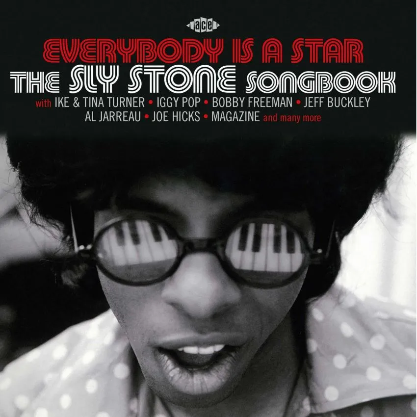 V.A. - Everybody Is A Star : The Sly Stone Songbook ( CD )