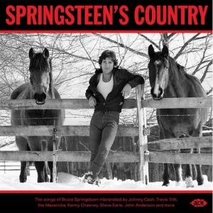 V.A. - Springsteen's Country ( CD )