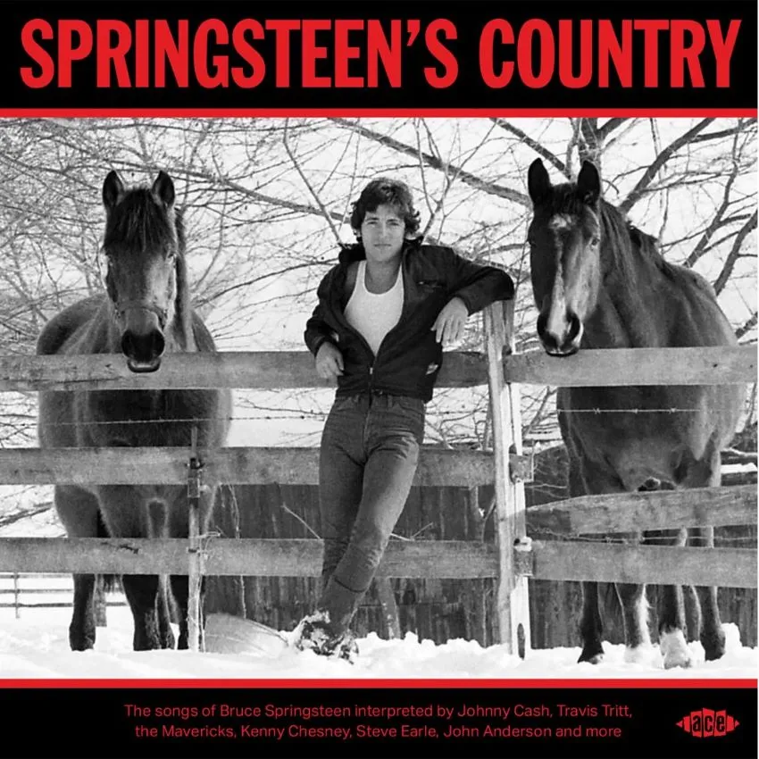 V.A. - Springsteen's Country ( CD )