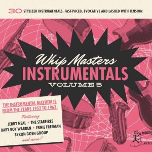 V.A. - Whip Masters Instrumentals Vol 5 ( CD )