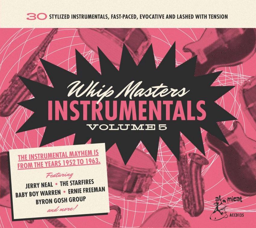 V.A. - Whip Masters Instrumentals Vol 5 ( CD )