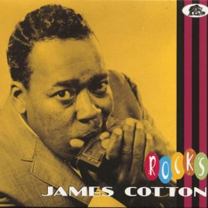 Cotton ,James - Rocks ( CD )
