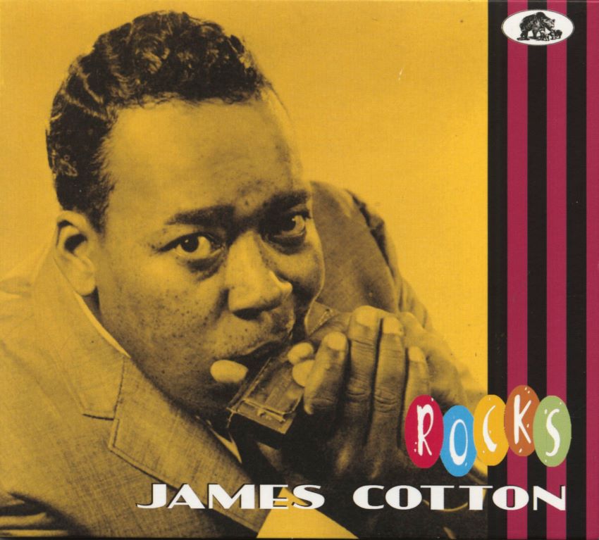Cotton ,James - Rocks ( CD )