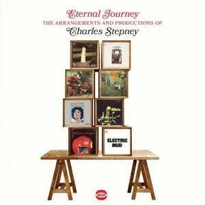V.A. - Eternal Journey The Arrangements And Productions Of Charles Stepney ( CD )