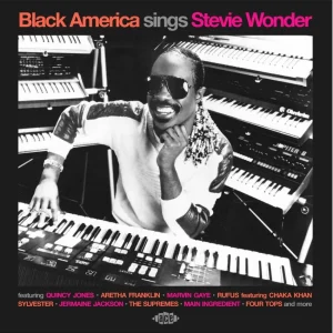 V.A. - Black America Sings Stevie Wonder ( CD )