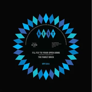Family Brick, The / Gant, Ray & - I'll Fly To Your Open Arms / Did She Do It To You Open Arms ( 45's )
