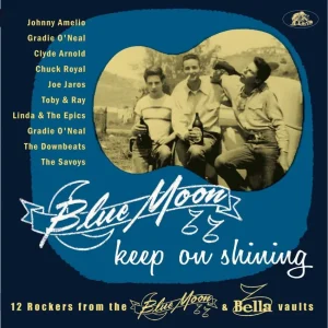 V.A. - Blue Moon Keep On Shining ( 10 Inch )
