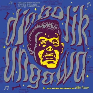 V.A. - Diabolik Ungawa ( LP )